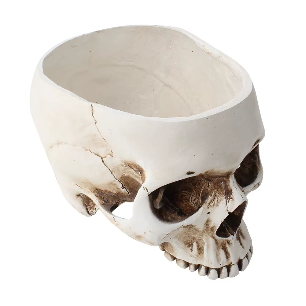 Resin Skull Flower Pot