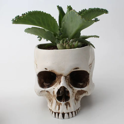 Resin Skull Flower Pot