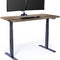 Electric Standing Desk - 60X30 desk, Adjustable Height Stand up Computer Desk - Dual Motor with Memory Presets, Stable T-Style Legs- Home Office Essentials - Reclaimed Wood